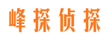 蒲县外遇调查取证